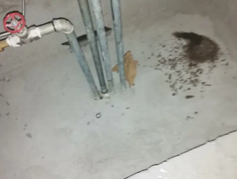 揭阳卫生间测漏水价格明细